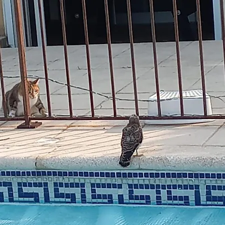 Pansiyon Les Oliviers Lédignan